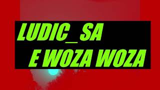 Ludic_SA - E WOZA WOZA