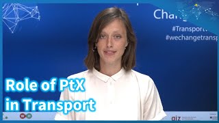 The Role of Power to X in Transport