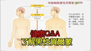 健康Q\u0026A 了解男性賀爾蒙