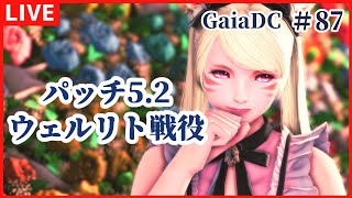 【FF14】ウェルリト戦役　ウェポン編 ＃87【 GaiaDC　初見　漆黒のヴィランズ/Vtuber】