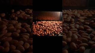 可可豆烘烤 #cacaobeans #timelapse