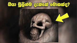 ඔයා මුලින්ම දැක්කේ මොකක්ද? මුලින්ම දැක්ක දේ අනුව ඔයා ගැන පුදුම හිතෙන දෙයක්  හරියටම දැනගන්න | #shorts