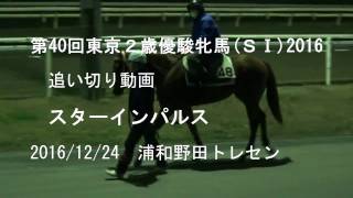 第10回東京シンデレラマイル   トーセンセラヴィ、第40回東京２歳優駿牝馬  スターインパルス　追い切り動画