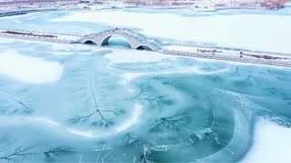 Cracks on frozen lake resemble tree branches in NW China