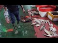 চীনের জমজমাট মাছের বাজার vlog 13 fish market in china