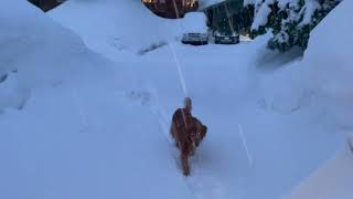 Spooner Pass in a Blizzard 3/4/23