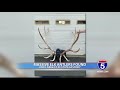 massive elk antlers found 2nd largest in oregon history