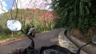 Taiwan Ride  Sanzhi 三芝櫻花道 富福頂山寺貝殼廟 20240204 GOPRO 7