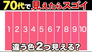 【高齢者向け脳トレ】#38 色覚テスト:見えたら脳年齢20代⁉︎色探しクイズで脳活しよう【全10問】