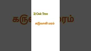 TOP 5 TREES NAME IN ENGLISH \u0026 TAMIL