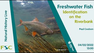 Freshwater Fish Identification on the Riverbank