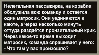 Про нелегальную пассажирку на корабле... Сборник анекдотов! Юмор! Позитив!