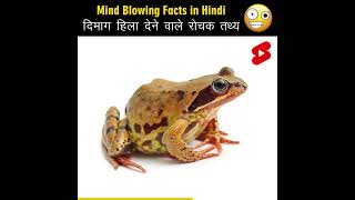 Mind Blowing Facts in Hindi 🤯🧠 Amazing Facts | Human Psychology | Top 10 #HindiTVIndia #Shorts