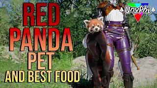 Red Panda Pet Made Easy and Quick - Crimson Desert