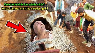 Cesetler Kabirde Kaç Günde Çürür? Kurtçuklar Mezarın İçine Nereden Gelir? Ölü Bunları Hisseder Mi?