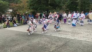 2017年10月7日 京都 嵐山 徳島市観光キャンペーン 阿波おどり振興協会 男踊り