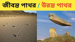 পৃথিবীর অদ্ভুত রহস্যময় পাথর || দৌরাতে পারে জীবন্ত পাথর😲উরন্ত পাথর সম্পর্কে জানুন