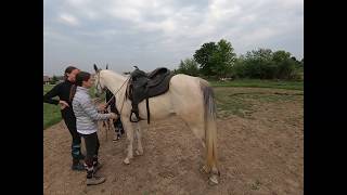 Terensko jahanje, Alisa i Orna.  Trail horse riding.