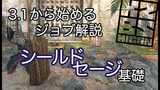 【DDON】3.1から始めるシールドセージ基礎！