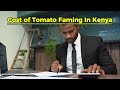 free guide to profitable tomato farming in kenya from seeds to harvesting 2025