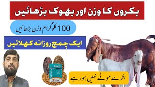 Bakron Ko Mota karnay Ka Desi مصالحہ Aur بنانے Ka Tarika | 💯 Working Tips For Fattening Goats