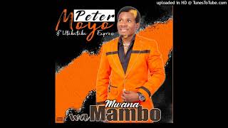 Peter Dewa Moyo - Ndiwe Urikupisa. (Official Audio 2023.)