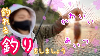 ＃15  【穴釣り】違うんです！つい出来心で…釣れる魚を狙う