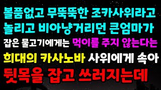 볼품없고 무뚝뚝한 조카사위라고 놀리고 비아냥거리던 큰엄마가 잡은 물고기에게는 먹이를 주지 않는다는 희대의 카사노바 사위에게 속아 뒷목을 잡고 쓰러지는데