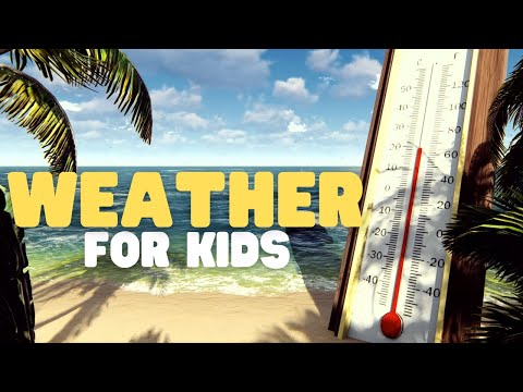 What are the different weather conditions?