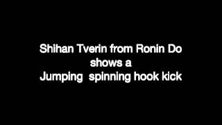 Ronin Do Jumping Spinning Hook Kick