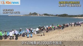 芥屋海水浴場で地元園児が稚魚放流