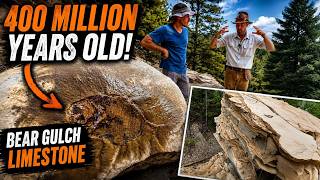 Uncovering Fossils in the Under-explored Bear Gulch Limestone