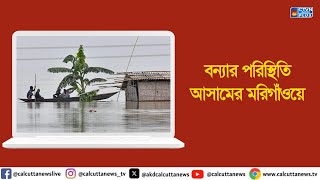 বন্যার পরিস্থিতি আসামের মরিগাঁওয়ে | ক্যালকাটা নিউজ ডিজিটাল