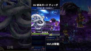 【FFBE】（再アップ旧ver）NV新米ガード ティーダ（BS）NVLB挙動