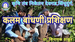 कलम बांधणी प्रशिक्षण व रोपवाटिका व्यवस्थापन/Grafting & Nursery Management Training