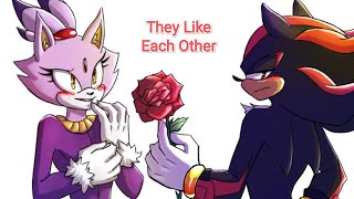 Shadaze: They Like Each Other
