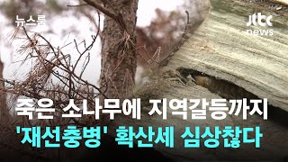 말라 죽는 소나무에 지역갈등까지…'재선충병' 확산세 심상찮다 / JTBC 뉴스룸