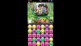 【パズドラ】　ガイア降臨　超級　LシナモンFばつ丸