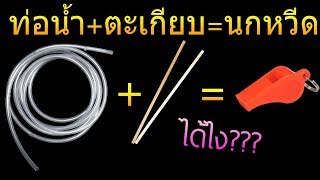 ของเล่น ทำเอง นกหวีด DIY จาก ตะเกียบ(ไม้ไอติม) กับท่อน้ำ - PedPed TV