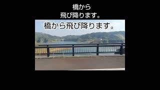 橋から飛び降りる