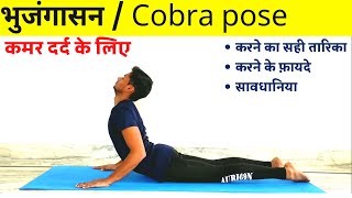 Bhujangasana yoga | for beginners | cobra pose yoga | step by step | benefits | precautions | hindi