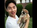 henry刘宪华和狗宝贝 헨리 劉憲華 henry lau 헨리 劉憲華 henry lau 헨리 劉憲華 henry lau 刘宪华