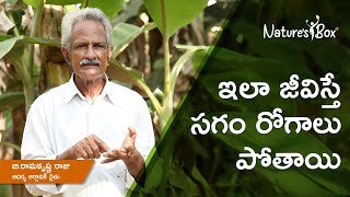 Future of Organic Farming in India Telugu | Farmer Bhupathi Raju Organic Farming Tips | Nature'sBox