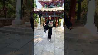 这就是年的功力，立如平准活似车轮太极拳 武术 中华武术博大精深 太极养生动起来 爱太极