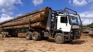 Extreme fastest logging truck on the road