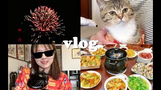 vlog⧸大年三十一日流水账⧸除夕年夜饭全记录⧸给小猫拍新年照贴对联⧸新年快乐⧸美美看烟花⧸和家人幸福美满的一个年