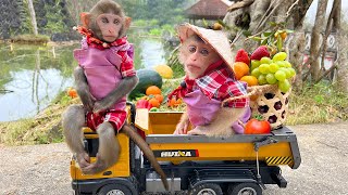 Bim Bim takes wife to harvest fruit on the farm so cute