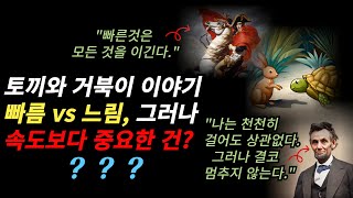 [동화로 풀어보는 명언] 토끼와 거북이 이야기 속도보다 중요한건 방향성