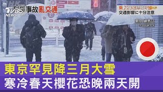 東京罕見降三月大雪 寒冷春天櫻花恐晚兩天開｜TVBS新聞