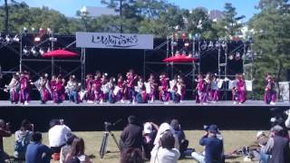 月下桜舞連　YOSAKOI高松祭り2016中央公園1日目